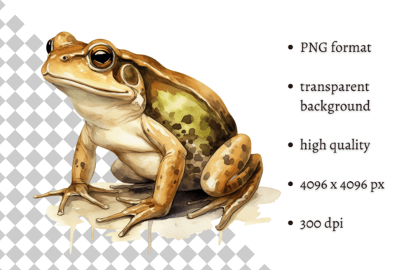 Download Watercolor Frog Illustration - Frog illustration Collection