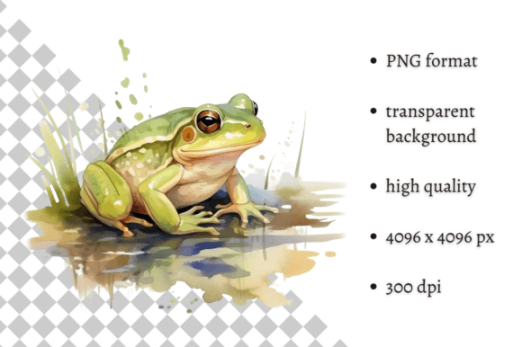 Download Watercolor Frog Illustration - Frog illustration Collection