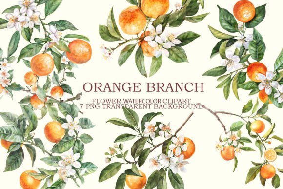 Download Orange Branch Clipart Bundle - Premium Resources