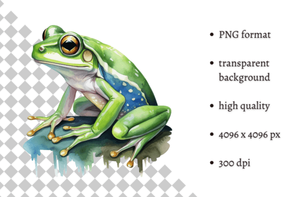 Download Watercolor Frog Illustration - Frog illustration Collection