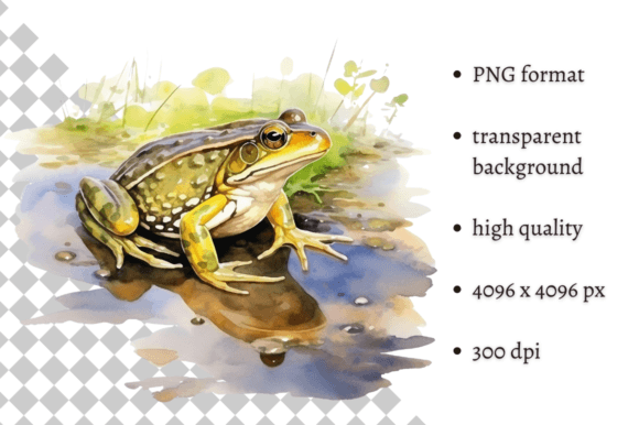 Download Watercolor Frog Illustration - Frog illustration Collection