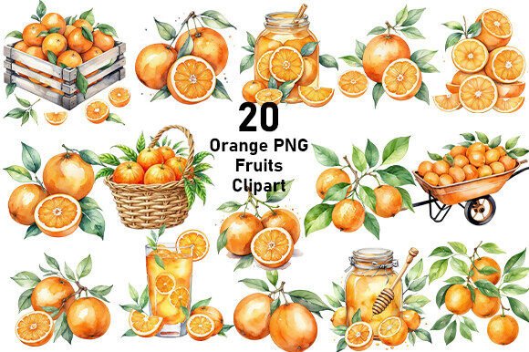 Download 20 Watercolor Orange Fruit's Clipart PNG - Orange Collection