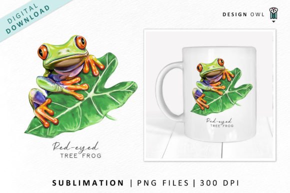Download Red Eyed Tree Frog Illustration - Frog illustration Collection